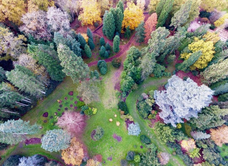 Harcourt Arboretum, United Kingdom